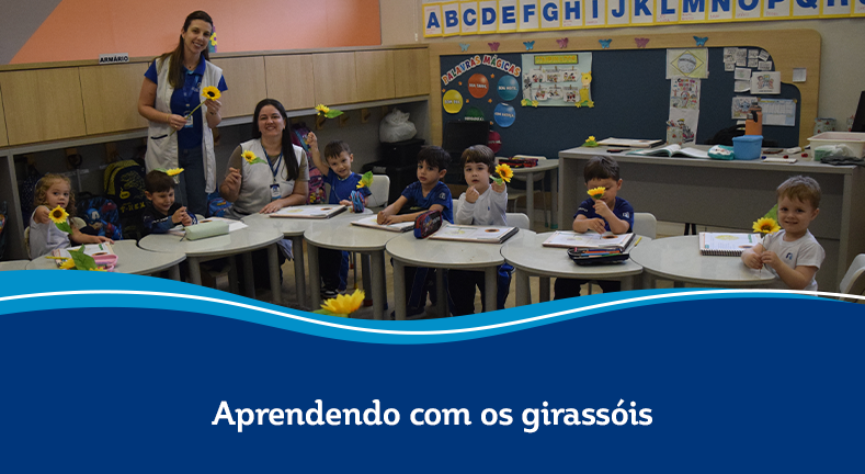 Aprendendo com os girassóis