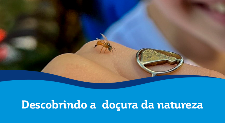 Descobrindo a doçura da natureza