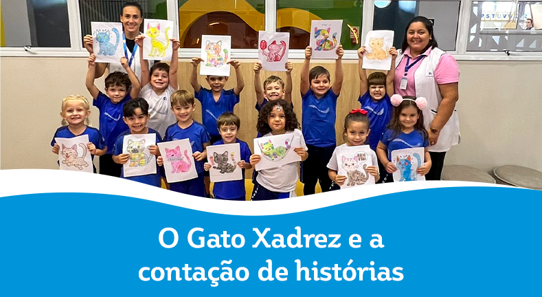 O Gato Xadrez e a contação de histórias