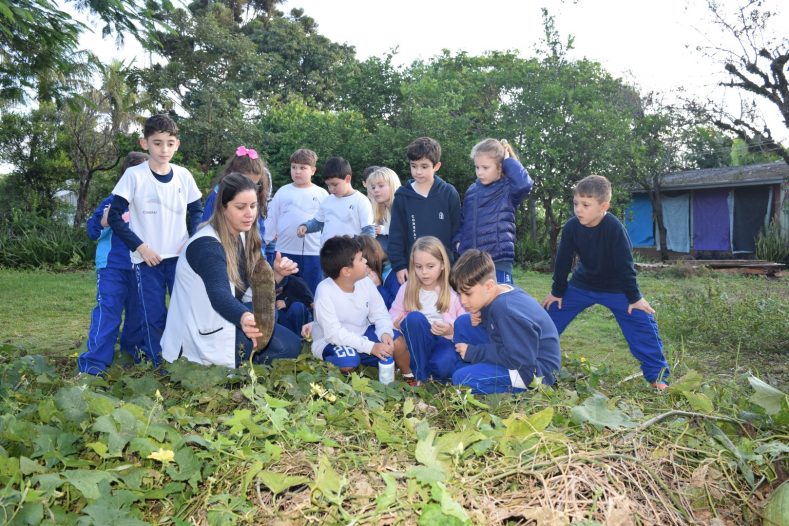 2º Ano - Estudo sobre plantas